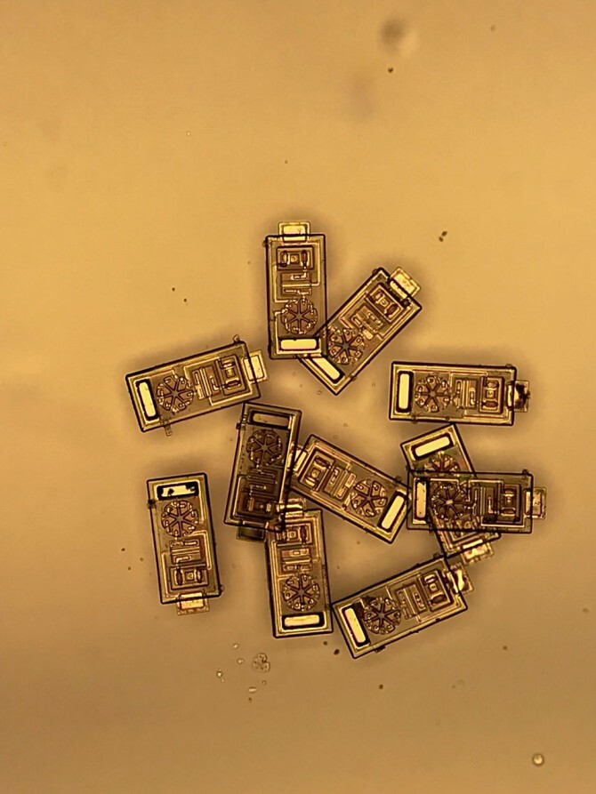 OWiC sensors on a gold background